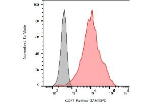 Separation of K562 cells stained using anti-human CD71 (MEM-189) purified antibody (concentration in sample 4 μg/mL, GAM APC, red) from K562 cells unstained by primary antibody (GAM APC, grey) in flow cytometry analysis (surface staining). (Transferrin Receptor anticorps)
