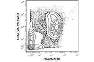 Flow Cytometry (FACS) image for anti-CD24 Molecule (CD24) antibody (ABIN2664425) (CD24 anticorps)