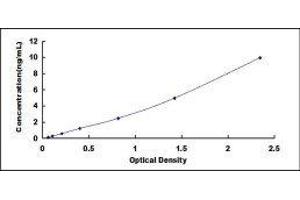 Typical standard curve (Cytokeratin 7 Kit ELISA)