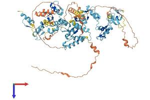 AlphaFold protein structure predicition of Human Recombinant ZNF483 Protein, UniprotID Q8TF39