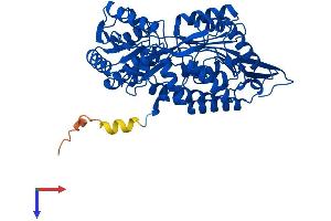 AlphaFold protein structure predicition of Human Recombinant ALDH1A2 Protein, UniprotID O94788