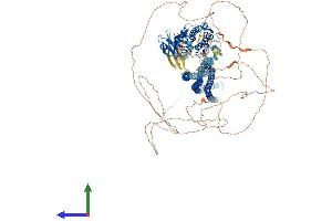 AlphaFold protein structure predicition of Mouse Recombinant Slk Protein, UniprotID O54988