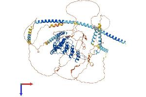 AlphaFold protein structure predicition of Mouse Recombinant Ppp1r12b Protein, UniprotID Q8BG95