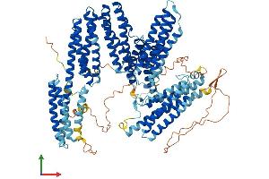 AlphaFold protein structure predicition of Human Recombinant CTNNA2 Protein, UniprotID P26232
