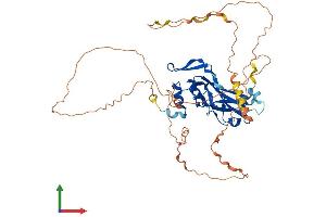 AlphaFold protein structure predicition of Mouse Recombinant Tbx1 Protein, UniprotID P70323