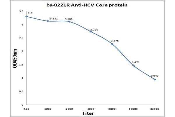 HCV Core Protein anticorps