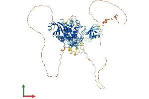 AlphaFold protein structure predicition of Mouse Recombinant Dclk2 Protein, UniprotID Q6PGN3