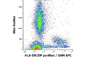 Flow cytometry surface staining pattern of human peripheral whole blood stained using anti-human HLA-DR/DP (MEM-136) purified antibody (concentration in sample 4 μg/mL) GAM APC. (HLA-DP/DR anticorps)