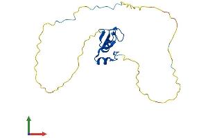 AlphaFold protein structure predicition of Human Recombinant RNF4 Protein, UniprotID P78317