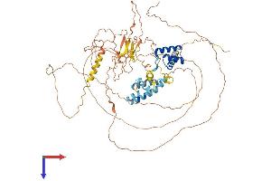 AlphaFold protein structure predicition of Human Recombinant POU6F2 Protein, UniprotID P78424