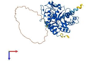 AlphaFold protein structure predicition of Human Recombinant MANEA Protein, UniprotID Q5SRI9