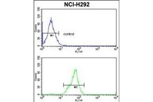 TOB1 Antibody (N-term) (ABIN652511 and ABIN2842342) flow cytometric analysis of NCI- cells (bottom histogram) compared to a negative control cell (top histogram). (Protein Tob1 (TOB1) (AA 54-83), (N-Term) anticorps)