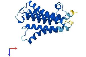 AlphaFold protein structure predicition of Human Recombinant PIGF Protein, UniprotID Q07326