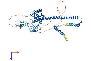 AlphaFold protein structure predicition of Mouse Recombinant Nup54 Protein, UniprotID Q8BTS4
