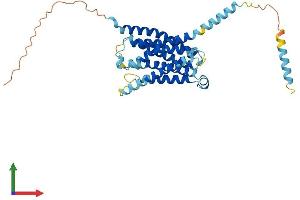 AlphaFold protein structure predicition of Mouse Recombinant Mrgprx2 Protein, UniprotID Q3UG50