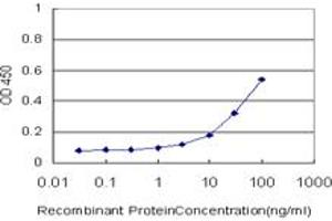 Detection limit for recombinant GST tagged FLJ31951 is approximately 1ng/ml as a capture antibody.