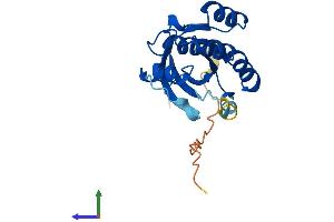 AlphaFold protein structure predicition of Human Recombinant RAB1B Protein, UniprotID Q9H0U4