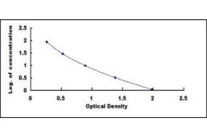 ELISA image for Myostatin (MSTN) ELISA Kit (ABIN4947881)
