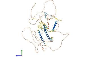 AlphaFold protein structure predicition of Mouse Recombinant Rnf169 Protein, UniprotID E9Q7F2
