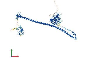 AlphaFold protein structure predicition of Human Recombinant TRIM58 Protein, UniprotID Q8NG06