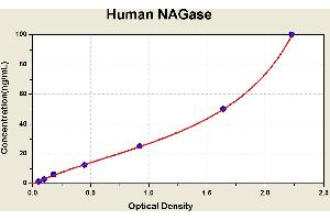 Diagramm of the ELISA kit to detect Human NAGasewith the optical density on the x-axis and the concentration on the y-axis. (MGEA5 Kit ELISA)