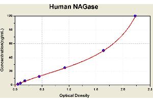 Diagramm of the ELISA kit to detect Human NAGasewith the optical density on the x-axis and the concentration on the y-axis. (MGEA5 Kit ELISA)