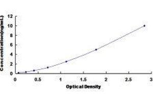 RAD50 Homolog (S. Cerevisiae) (RAD50) ELISA Kit