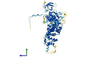 AlphaFold protein structure predicition of Human Recombinant ELMO1 Protein, UniprotID Q92556