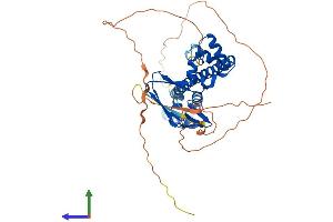 AlphaFold protein structure predicition of Human Recombinant TFDP1 Protein, UniprotID Q14186