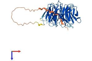 AlphaFold protein structure predicition of Human Recombinant SNRNP40 Protein, UniprotID Q96DI7