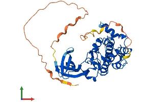 AlphaFold protein structure predicition of Human Recombinant TRIB2 Protein, UniprotID Q92519