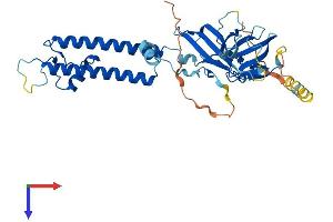 AlphaFold protein structure predicition of Human Recombinant KCNJ10 Protein, UniprotID P78508