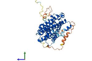 AlphaFold protein structure predicition of Human Recombinant RRM2 Protein, UniprotID P31350