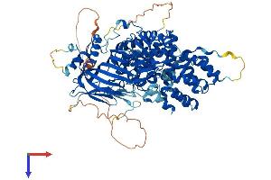 AlphaFold protein structure predicition of Human Recombinant AOPEP Protein, UniprotID Q8N6M6