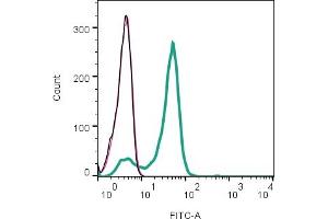 Cell surface detection of Tetraspanin 2 (TSPAN2) by indirect flow cytometry in live intact mouse  microglia cell line: + goat-anti-rabbit-FITC.