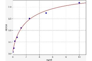 Typical standard curve (Serotonin Receptor 1A Kit ELISA)