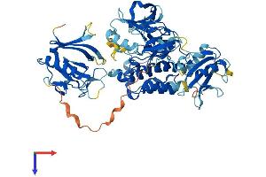 AlphaFold protein structure predicition of Human Recombinant TEC Protein, UniprotID P42680