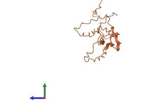 AlphaFold protein structure predicition of Human Recombinant KRTAP2-3 Protein, UniprotID P0C7H8