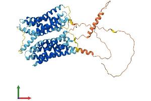AlphaFold protein structure predicition of Mouse Recombinant Otop1 Protein, UniprotID Q80VM9
