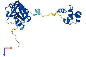 AlphaFold protein structure predicition of Mouse Recombinant Faap24 Protein, UniprotID Q8BHL6