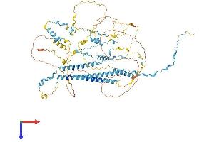 AlphaFold protein structure predicition of Human Recombinant TPX2 Protein, UniprotID Q9ULW0