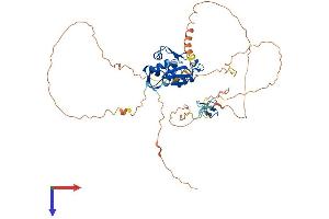 AlphaFold protein structure predicition of Mouse Recombinant Mdm4 Protein, UniprotID O35618
