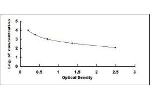 ELISA image for Butyric Acid ELISA Kit (ABIN4947410)