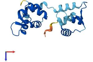 AlphaFold protein structure predicition of Mouse Recombinant Calml4 Protein, UniprotID Q91WQ9