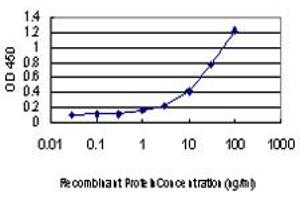 Detection limit for recombinant GST tagged COG6 is approximately 1ng/ml as a capture antibody. (COG6 anticorps  (AA 558-657))