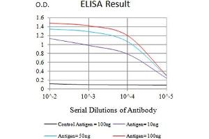 Black line: Control Antigen (100 ng),Purple line: Antigen (10 ng), Blue line: Antigen (50 ng), Red line:Antigen (100 ng) (JAG1 anticorps  (AA 47-212))