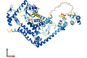 AlphaFold protein structure predicition of Mouse Recombinant Nub1 Protein, UniprotID P54729