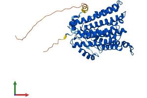 AlphaFold protein structure predicition of Mouse Recombinant Cept1 Protein, UniprotID Q8BGS7