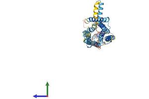 AlphaFold protein structure predicition of Mouse Recombinant S1pr4 Protein, UniprotID Q9Z0L1