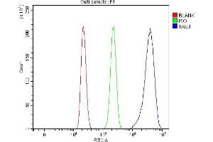 Flow Cytometry analysis of HL-60 cells using anti-TAB3 antibody (ABIN7602353). (TAB3 anticorps  (AA 70-656))